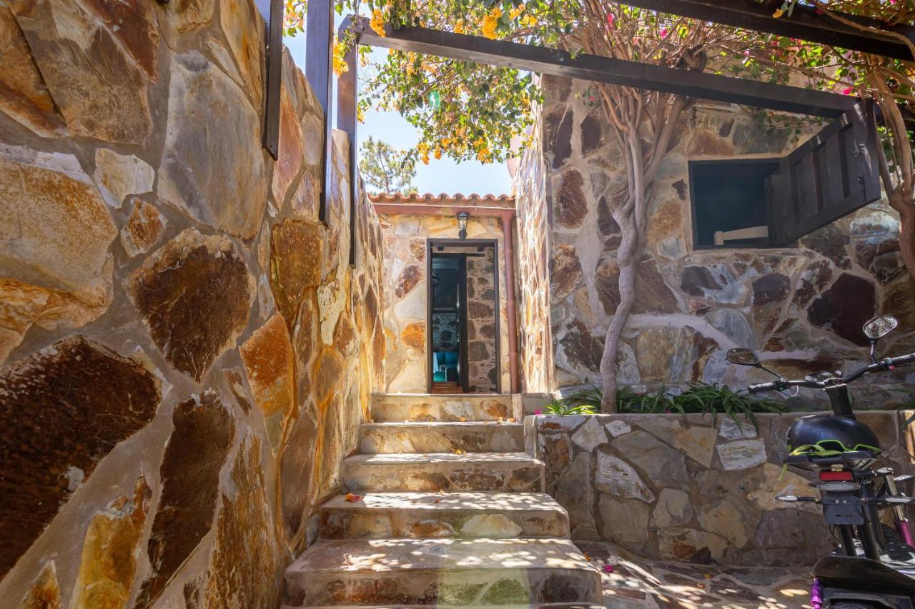 Casa Pinos *